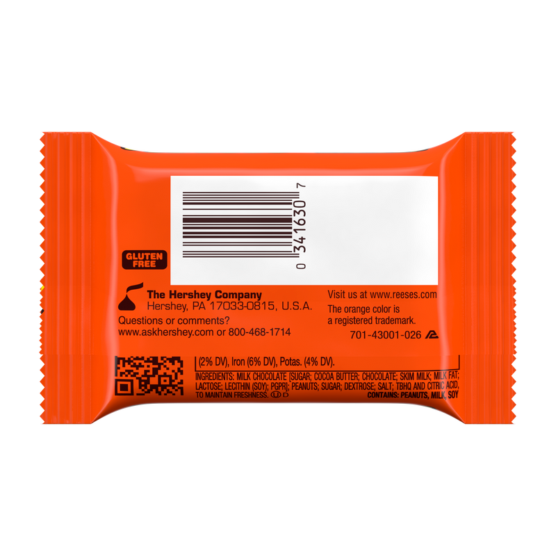 Reese's Big Cup - Standard Size (39g) - Candy Bouquet of St. Albert