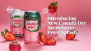 Canada Dry Fruit Splash - Strawberry Ginger Ale (355ml)