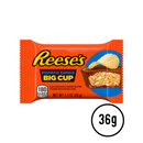 Reese's Big Cup w/ Potato Chips - Standard Size (36g) - Candy Bouquet of St. Albert