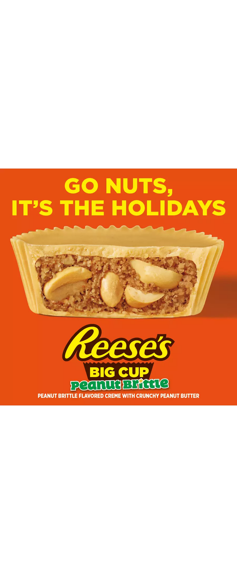 Reese's Big Cup Peanut Brittle - King-Size (79g) BBD JUL 2023 - Candy Bouquet of St. Albert