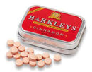 Barkleys Intense Mints - Cinnamon (50g)