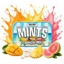 Big Sky Tropical (Pineapple, Mango, Guava) Mints - Sugar-Free (50g)