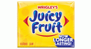 Wrigley's Juicy Fruit Wallet Pack (15 Sticks) - Candy Bouquet of St. Albert