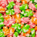 Albanese Gummi Bears - Sherbet Flavours (212g) - Candy Bouquet of St. Albert